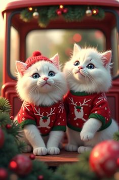 two white cats wearing christmas sweaters